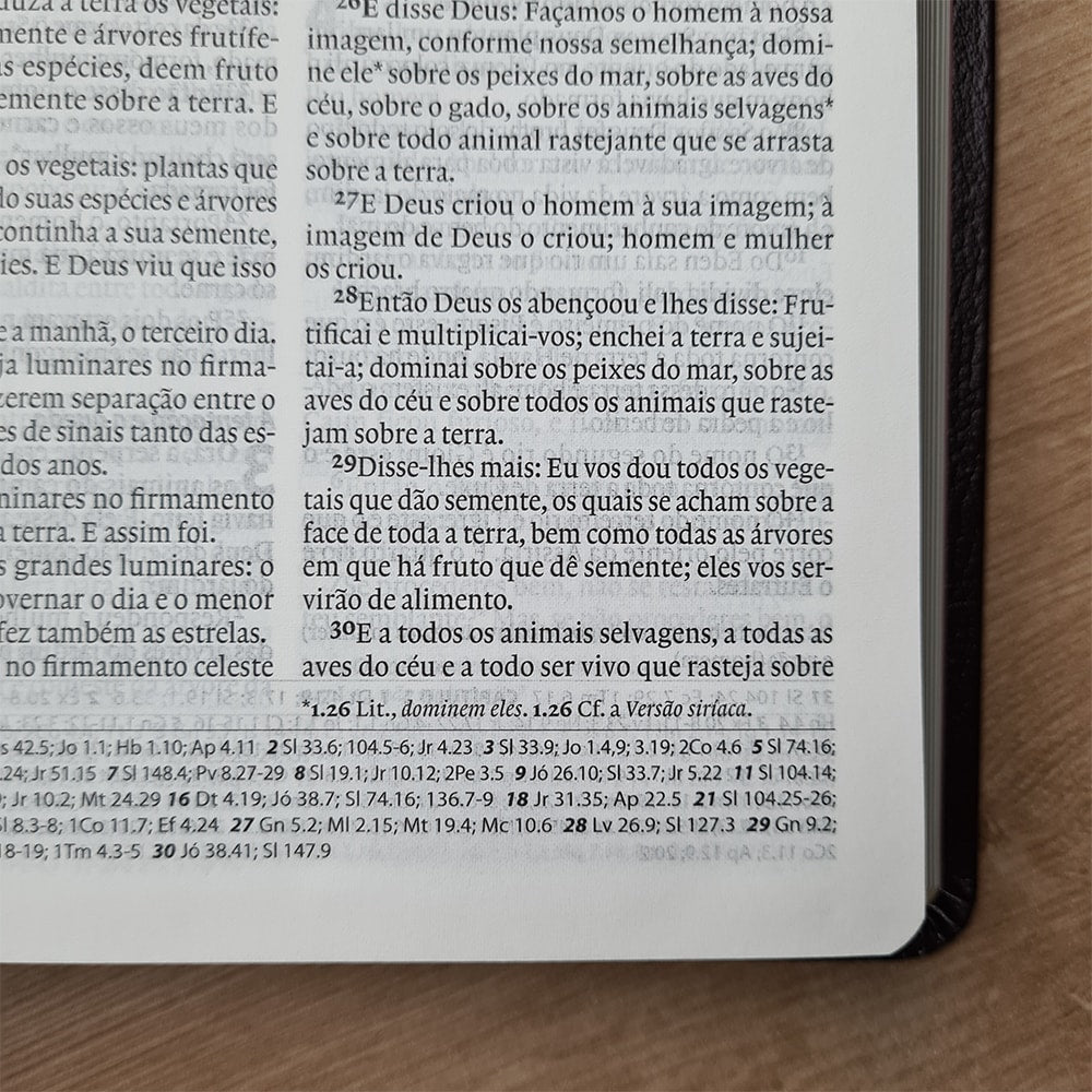 Bíblia Sagrada | A21 | Normal | C/ Referencias Cruzadas | Capa Luxo Bordô