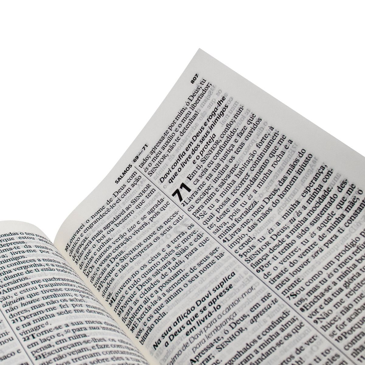 Bíblia Sagrada Árvore | ARC | Letra Gigante | Capa Brochura