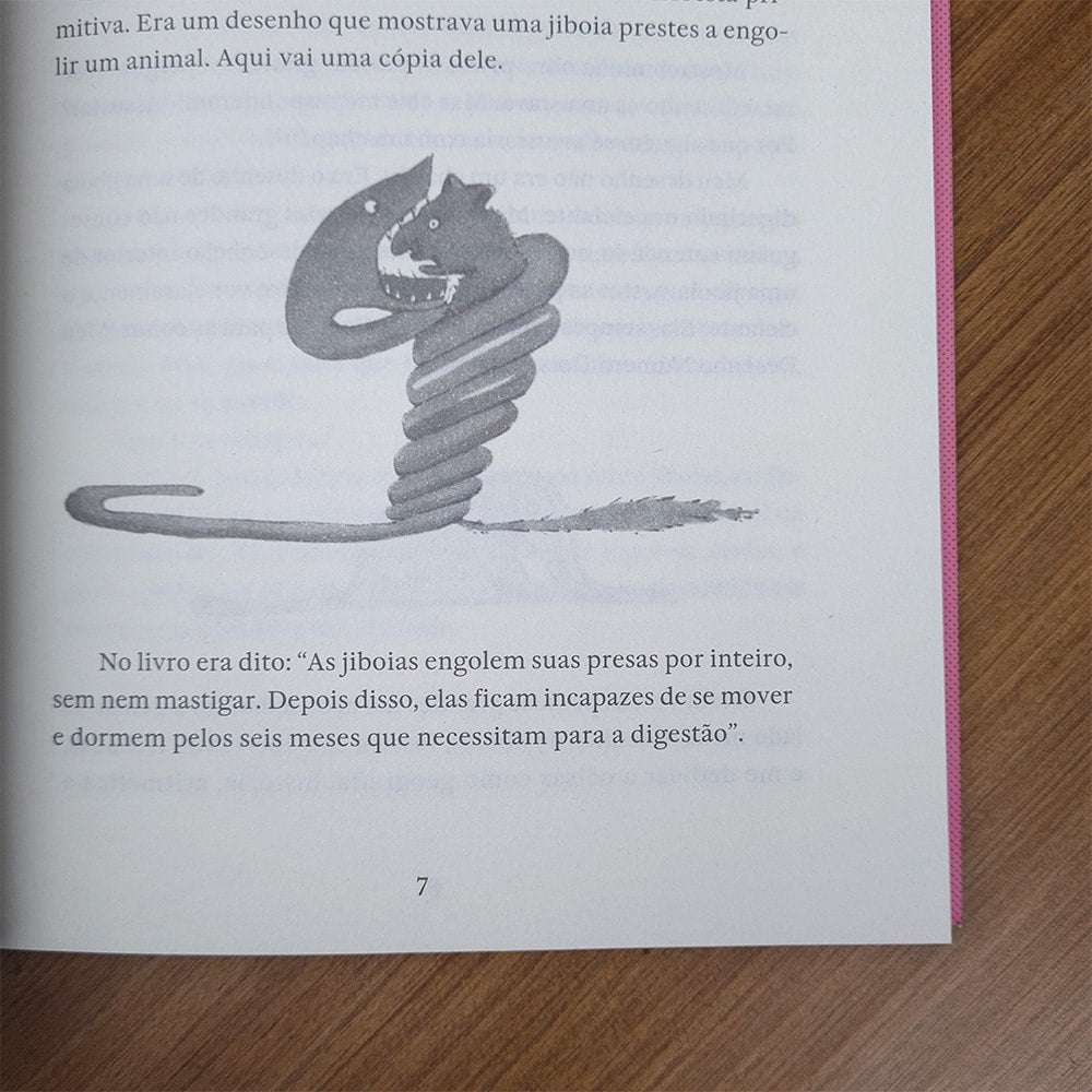 O Pequeno Príncipe | Antoine de Saint-Exupéry | Rosa Claro