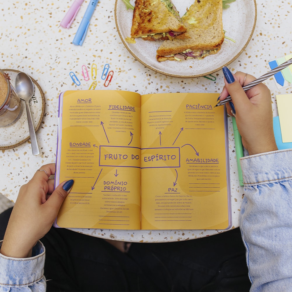 Construa Seu Diário | Jey Reis | Capa Rosa