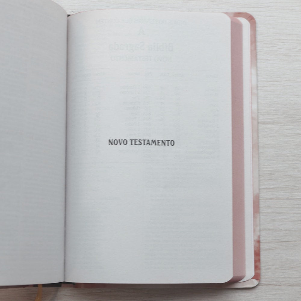 Bíblia Sagrada Leão de Judá | NVI | Letra Maior | Capa Dura Ilustrada