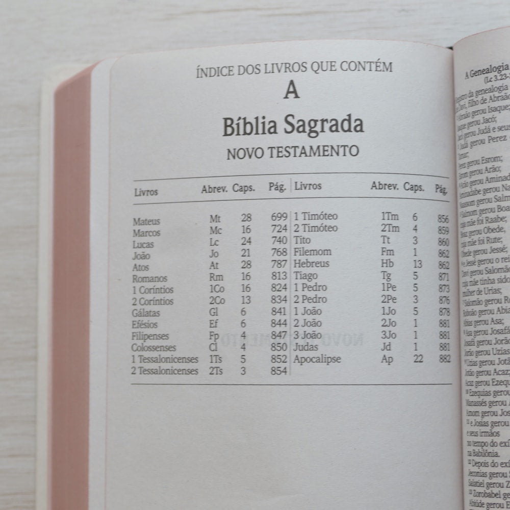 Bíblia Sagrada Leão de Judá | NVI | Letra Maior | Capa Dura Ilustrada