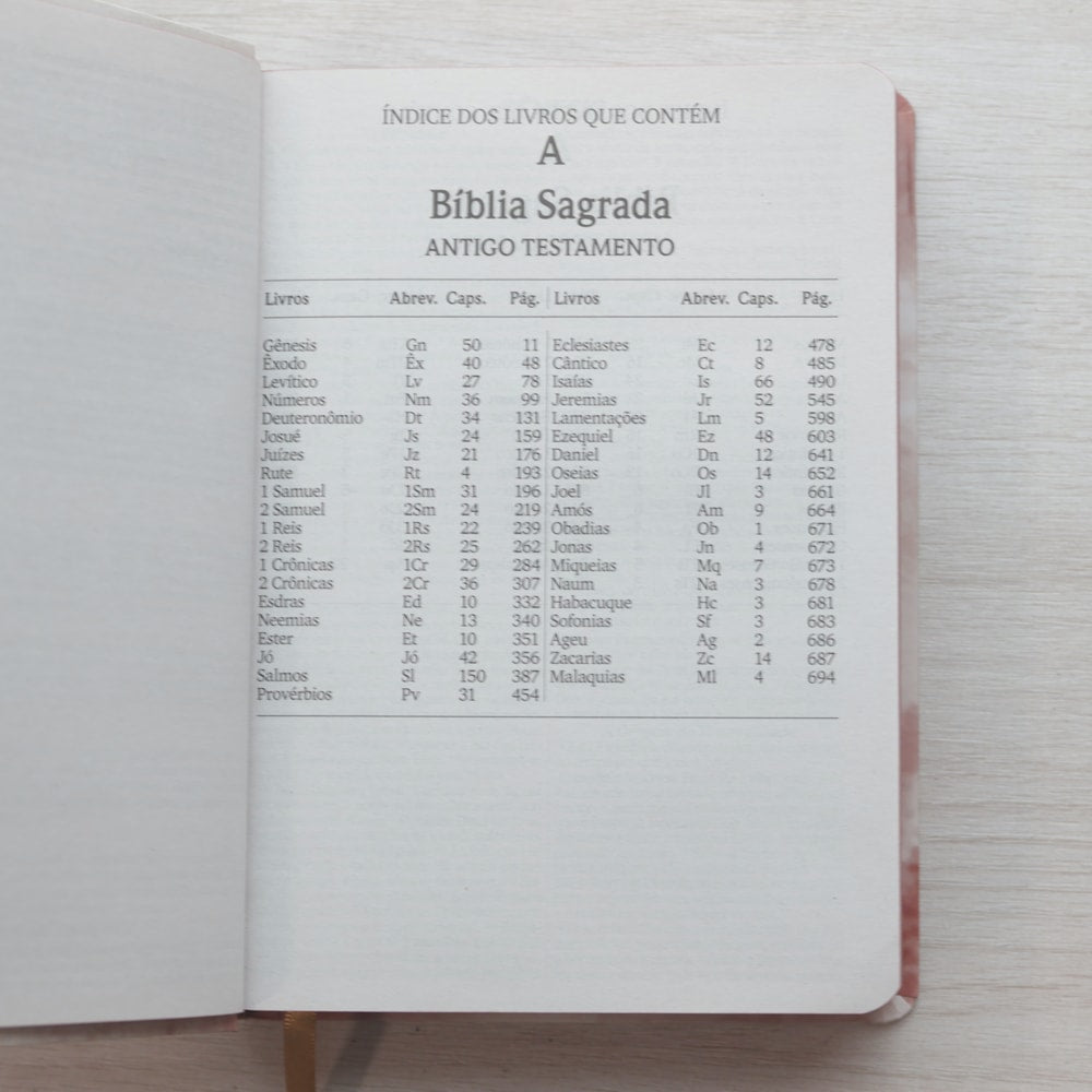 Bíblia Sagrada Leão de Judá | NVI | Letra Maior | Capa Dura Ilustrada