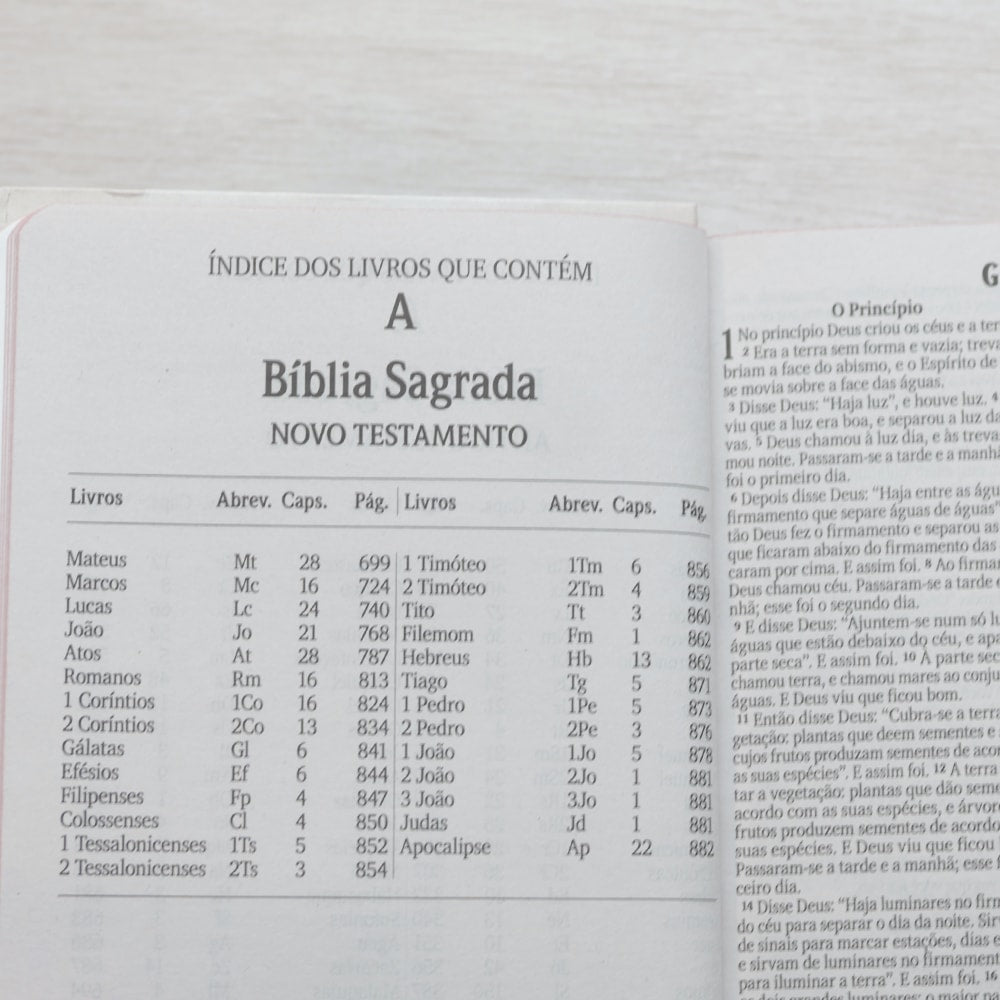 Bíblia Sagrada Leão de Judá | NVI | Letra Maior | Capa Dura Ilustrada