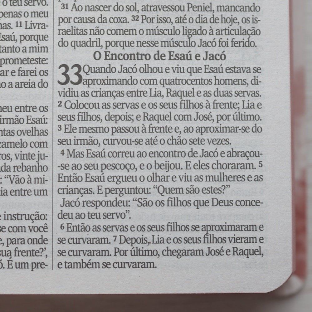 Bíblia Sagrada Leão de Judá | NVI | Letra Maior | Capa Dura Ilustrada