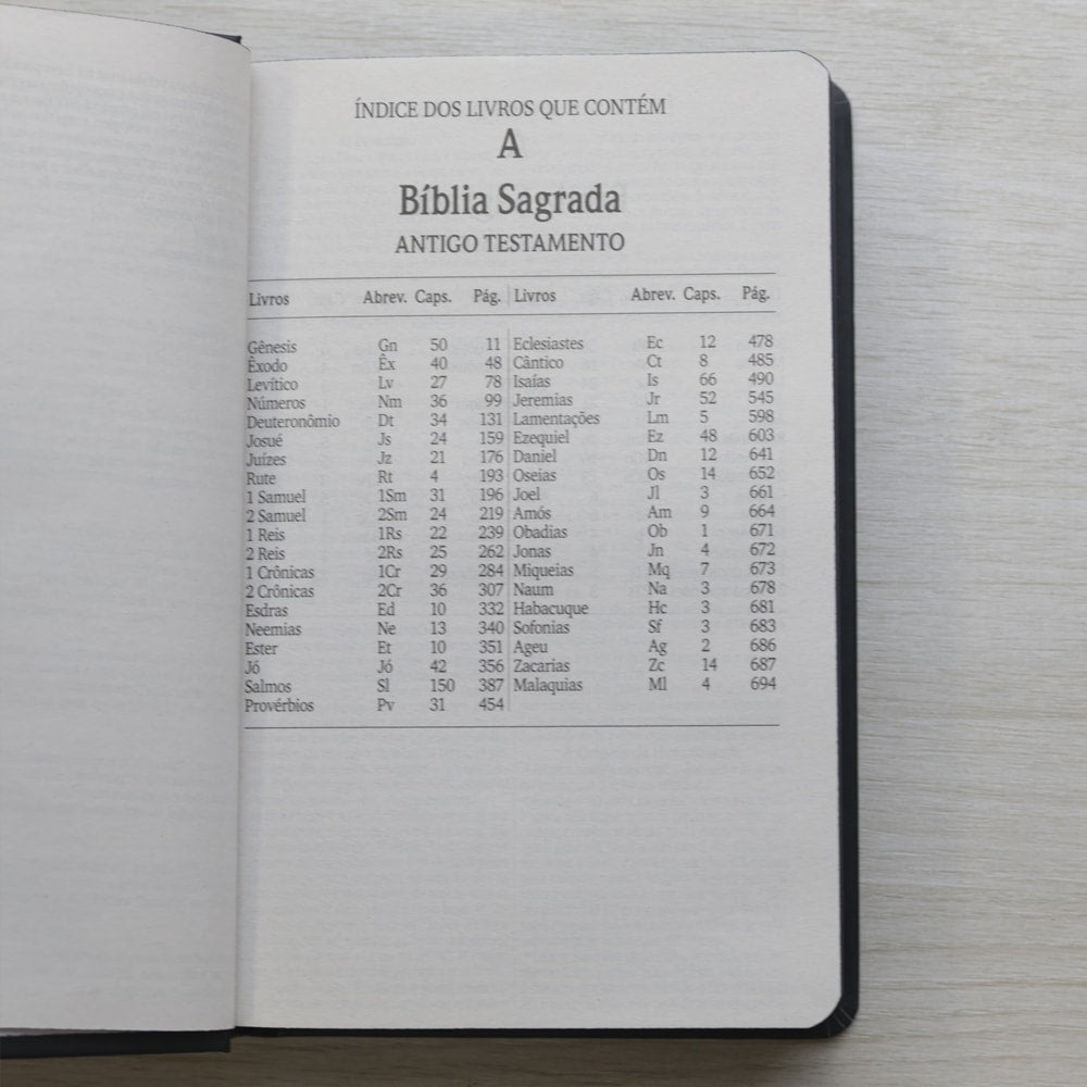 Bíblia Sagrada Vão Pelo Mundo | NVI | Letra Maior | Capa Dura Ilustrada