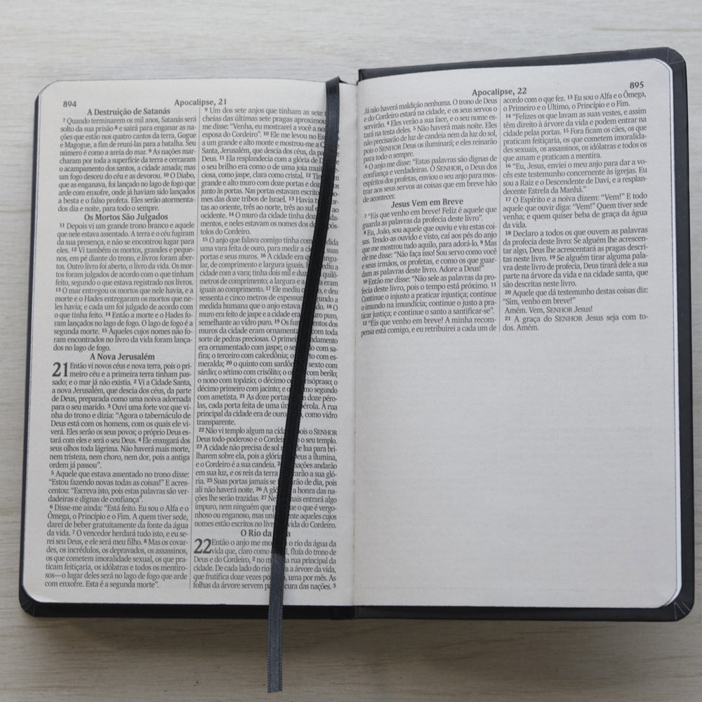 Bíblia Sagrada Vão Pelo Mundo | NVI | Letra Maior | Capa Dura Ilustrada