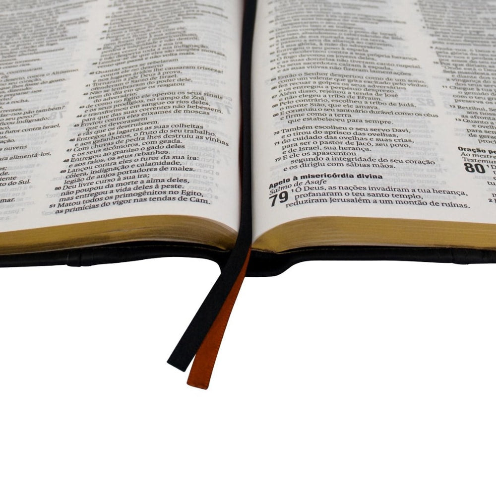 Bíblia Sagrada Slim | NAA | Letra Grande | Capa Couro Legítimo Preta