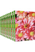 Kit 20 Devocionais Pão Diário Vol. 27 Flores, capa com flores e abelha. — Plenitude