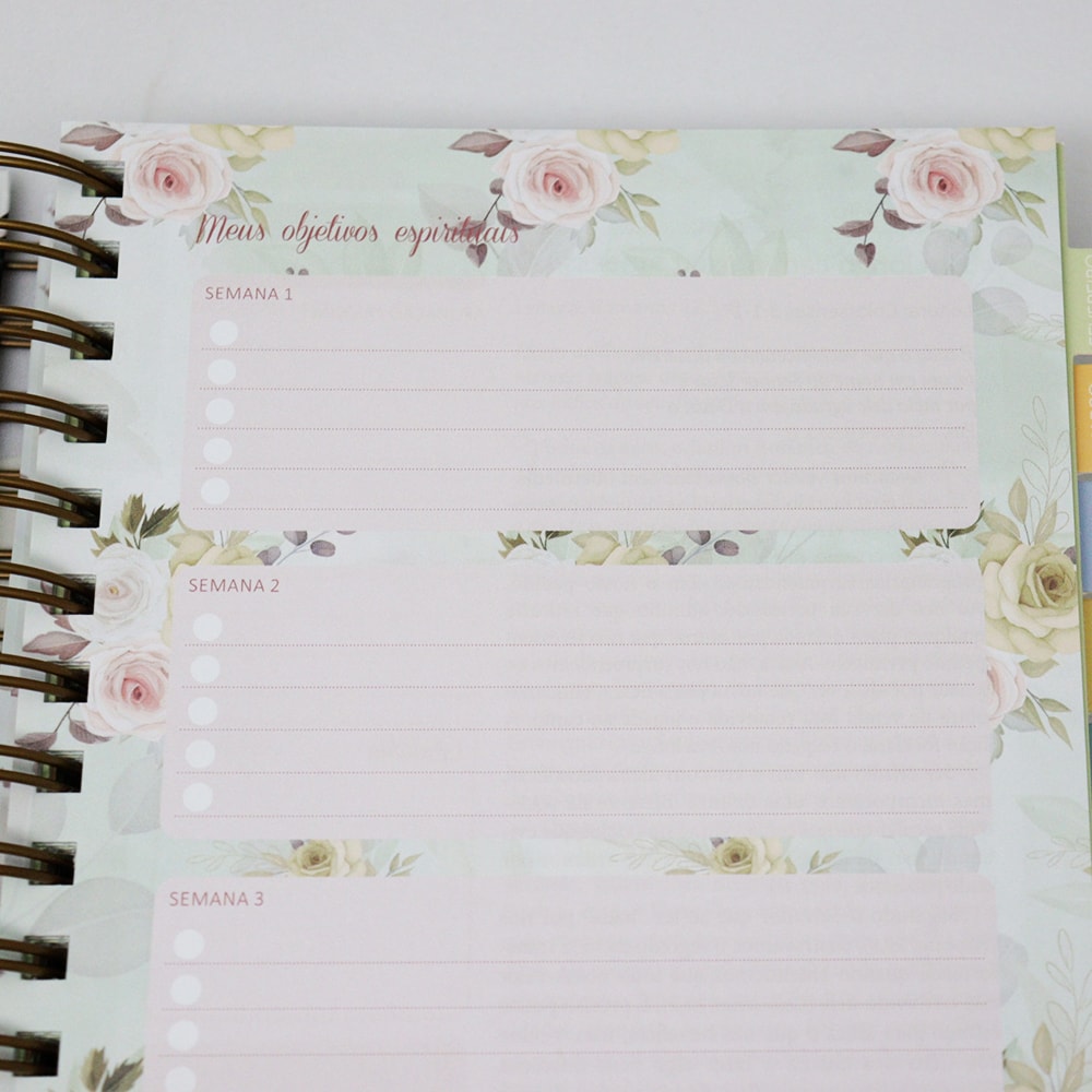 Planner Meu Plano com Deus | Esperei com Paciência | Capa Dura Espiral