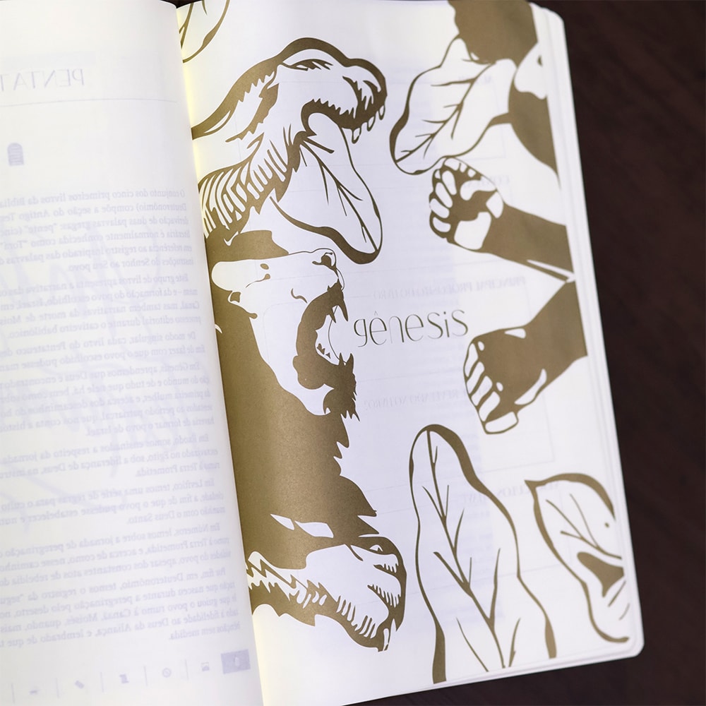 Bíblia The Purpose Book | A21 | Letra Normal | Espaço Para Anotações | Capa Couro Soft Janela