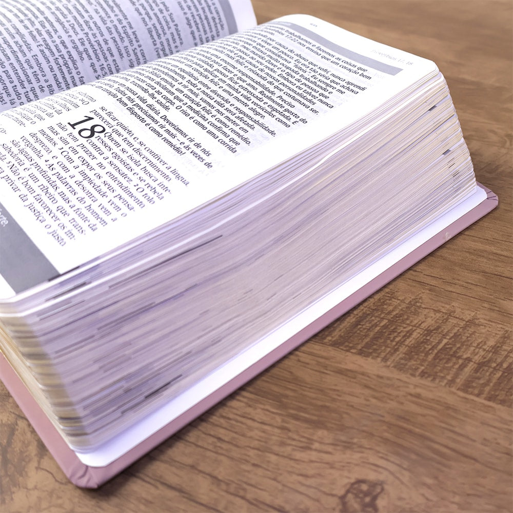 Bíblia De Estudo Joyce Meyer | NVI | Letra Grande | Capa Luxo Nude