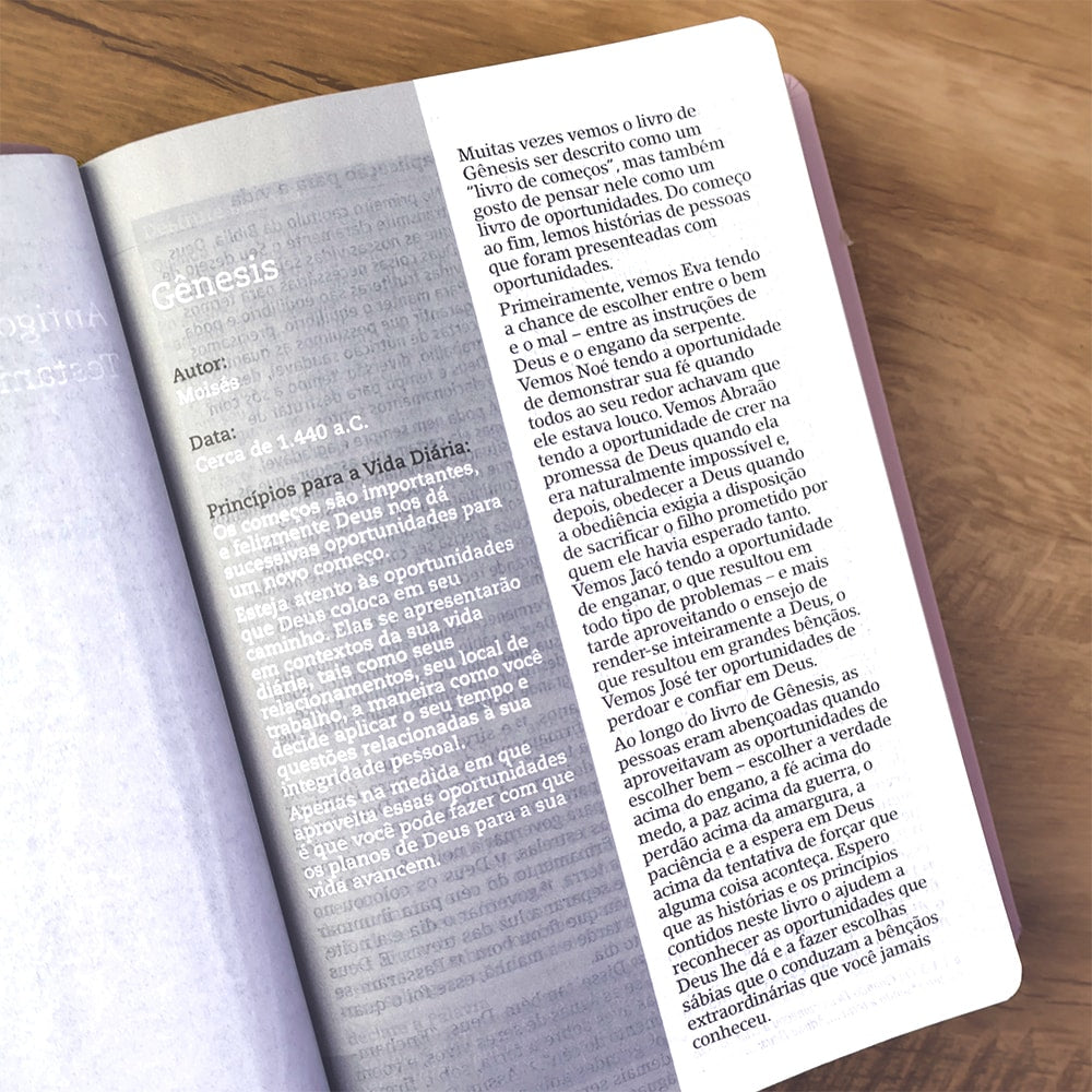 Bíblia De Estudo Joyce Meyer | NVI | Letra Grande | Capa Luxo Nude