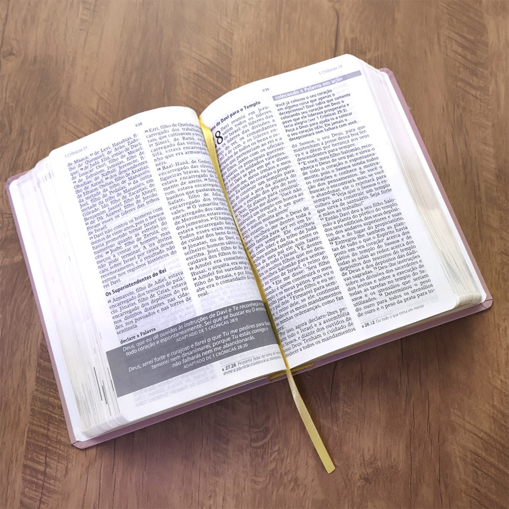 Bíblia De Estudo Joyce Meyer | NVI | Letra Grande | Capa Luxo Nude