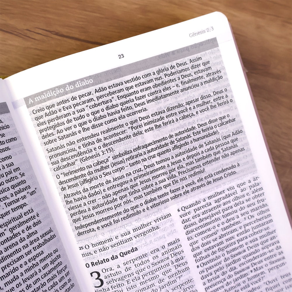 Bíblia De Estudo Joyce Meyer | NVI | Letra Grande | Capa Luxo Nude