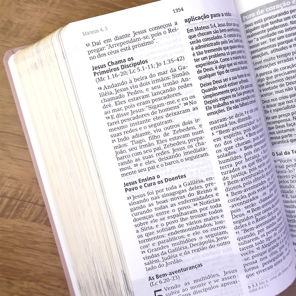 Bíblia De Estudo Joyce Meyer | NVI | Letra Grande | Capa Luxo Nude