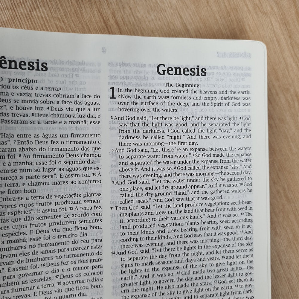 Bíblia Sagrada | Holy Bible | NVI | Português e Inglês | Letra Normal | Marrom