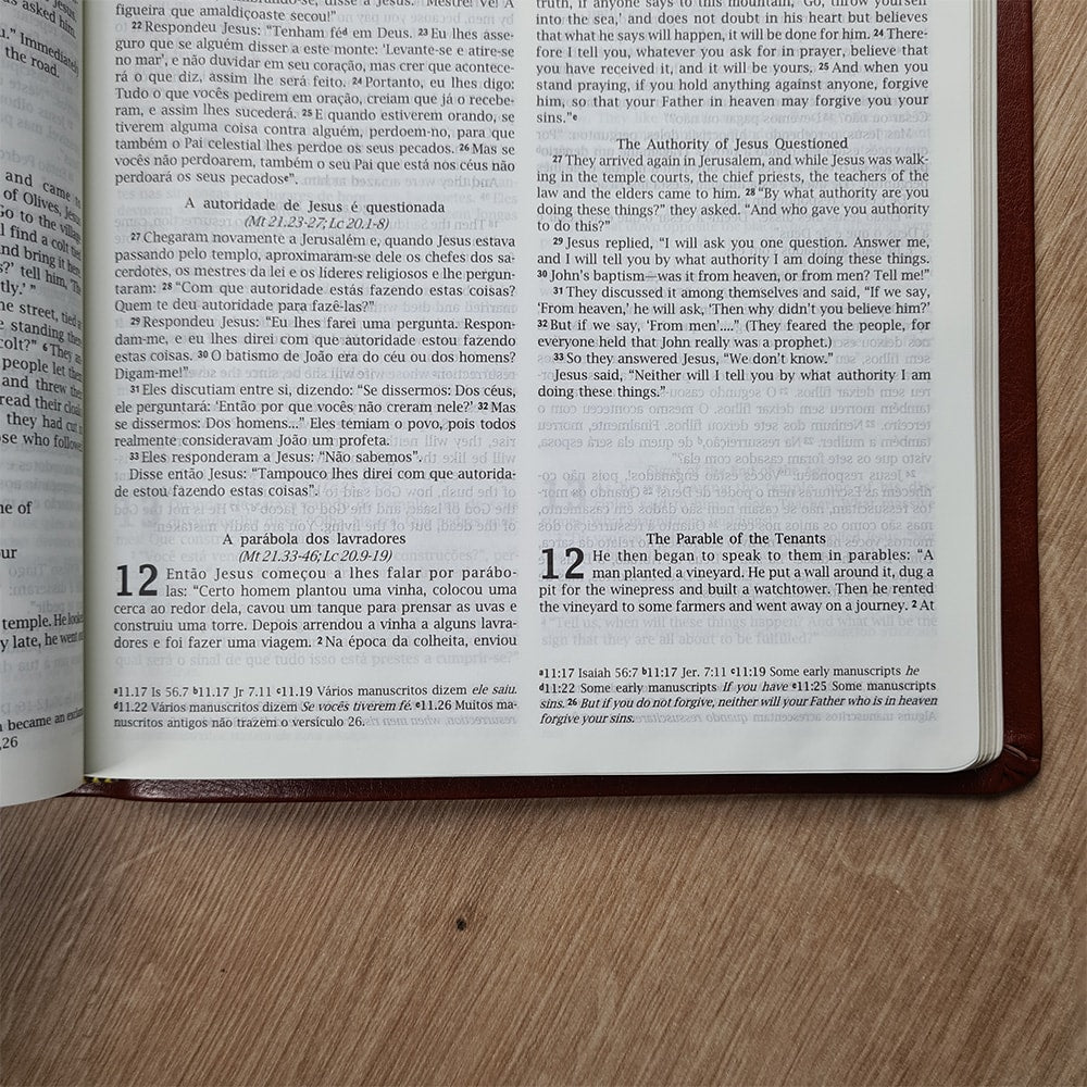 Bíblia Sagrada | Holy Bible | NVI | Português e Inglês | Letra Normal | Marrom