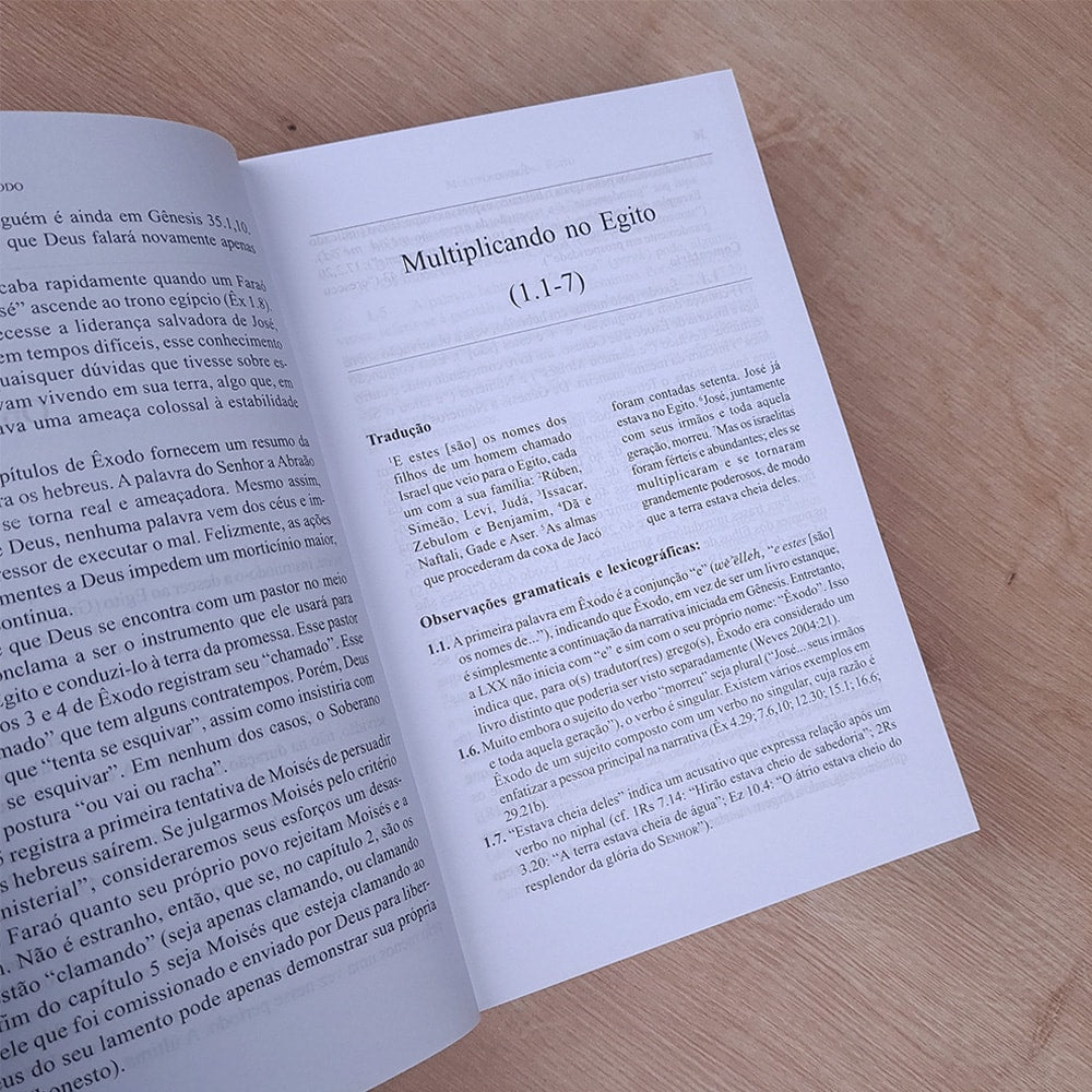Comentários do Antigo Testamento | Êxodo | Victor P. Hamilton