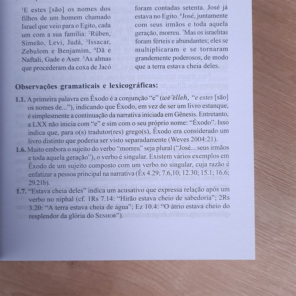 Comentários do Antigo Testamento | Êxodo | Victor P. Hamilton