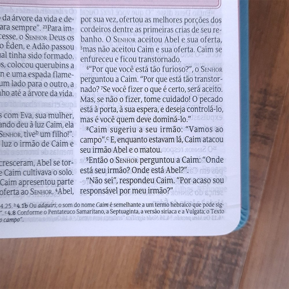 Bíblia de Estudos da Mulher | NVT | Letra Normal | Capa Luxo Azul