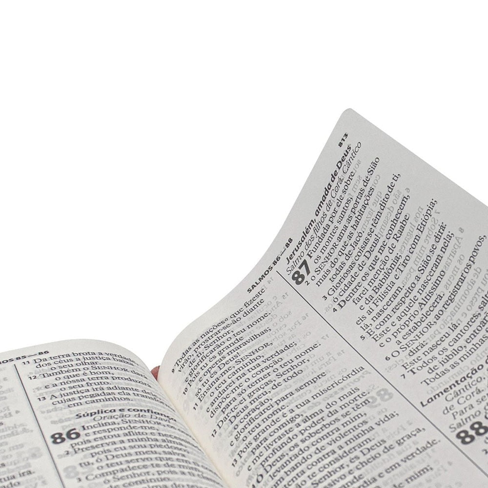 Bíblia Sagrada Economica | ARA | Letra Gigante | Capa Azul Luxo