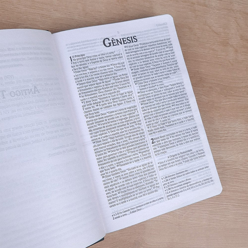 Bíblia Sagrada | NVI | Letra Normal | Capa Soft Touch | Leão Colorido