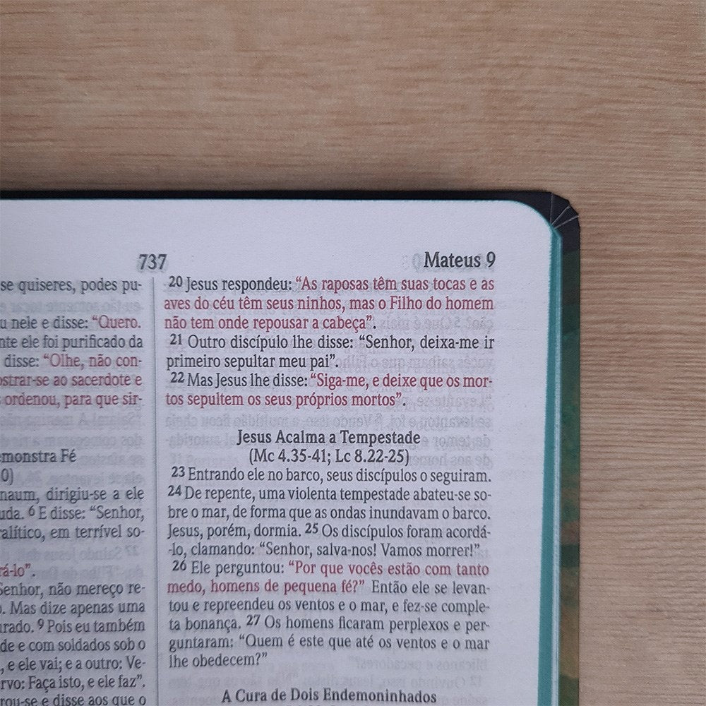 Bíblia Sagrada | NVI | Letra Normal | Capa Soft Touch | Leão Colorido