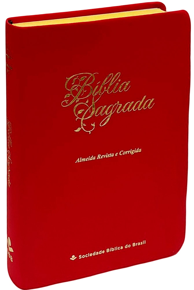 Bíblia Sagrada Economica | ARC | Letra Gigante | Capa Vermelho Luxo