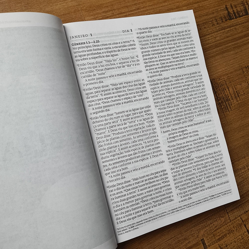 Bíblia 365 Clássica | NVT | Letra Grande | Capa Brochura