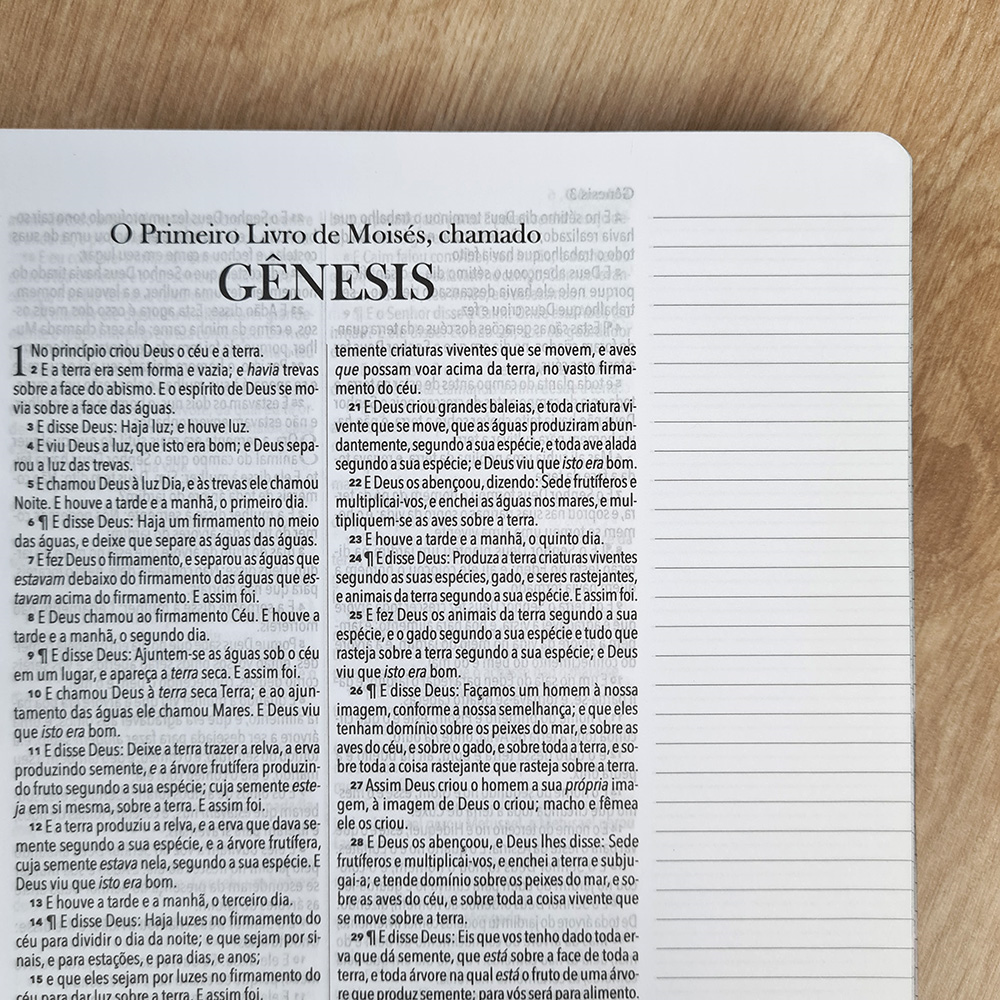 Bíblia King James 1611 Leão Glória e Honra | BKJ | Letra Normal | Capa Dura Espiral Com Espaço Para
