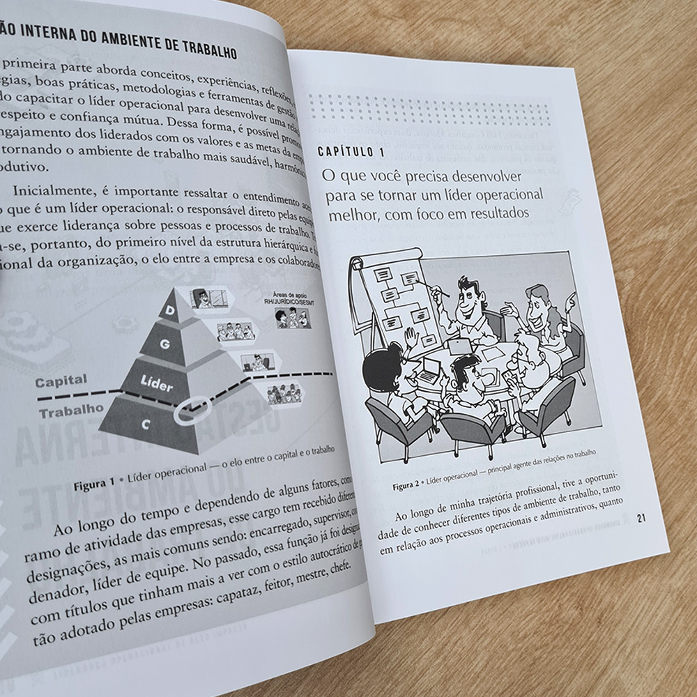 Liderança Operacional de Alto Impacto | Heli Gonçalves Moreira e Heli G. M. Jr.