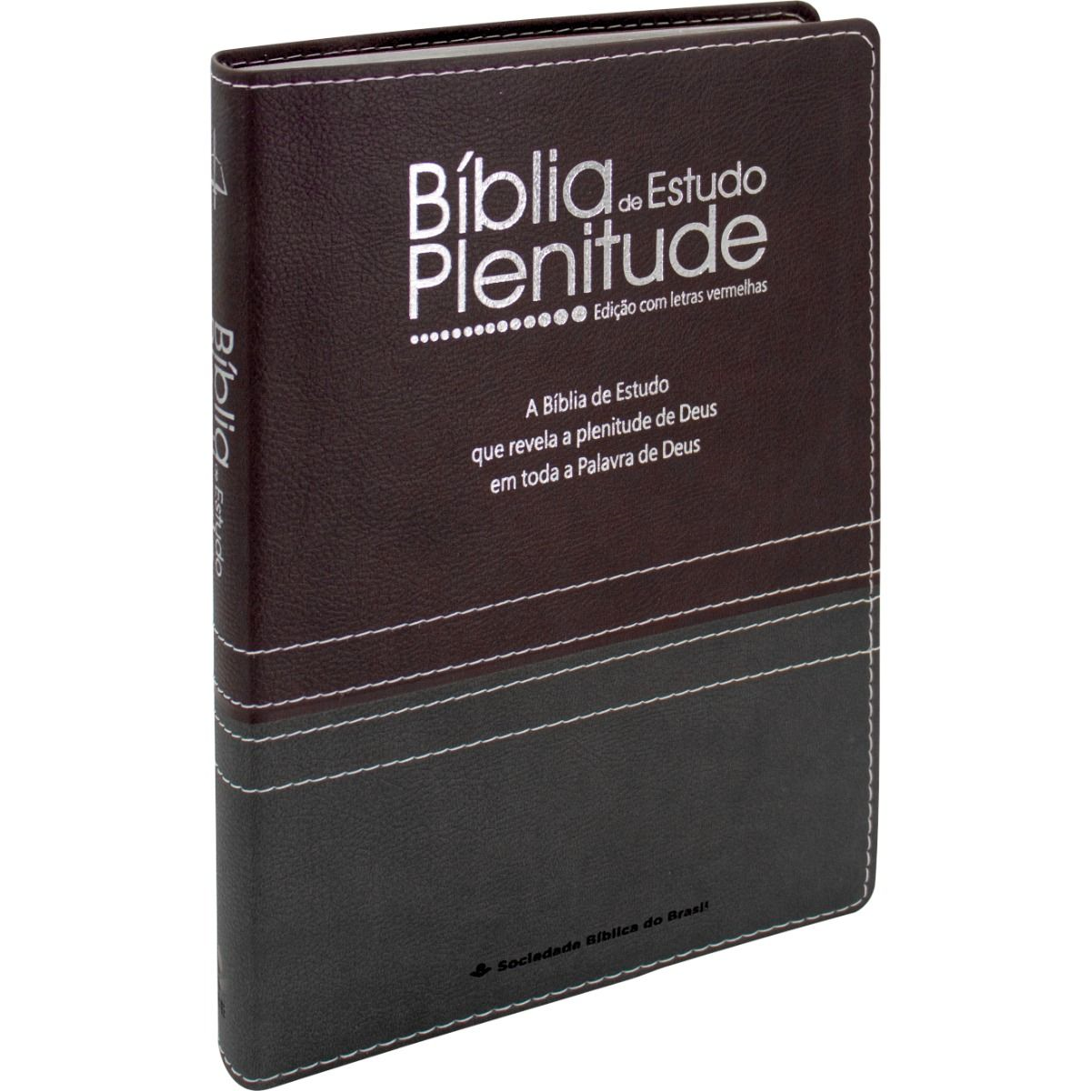 Bíblia de Estudo Plenitude | ARC | Letra Normal | Capa Luxo Cinza Chumbo e Bordô | Com Índice