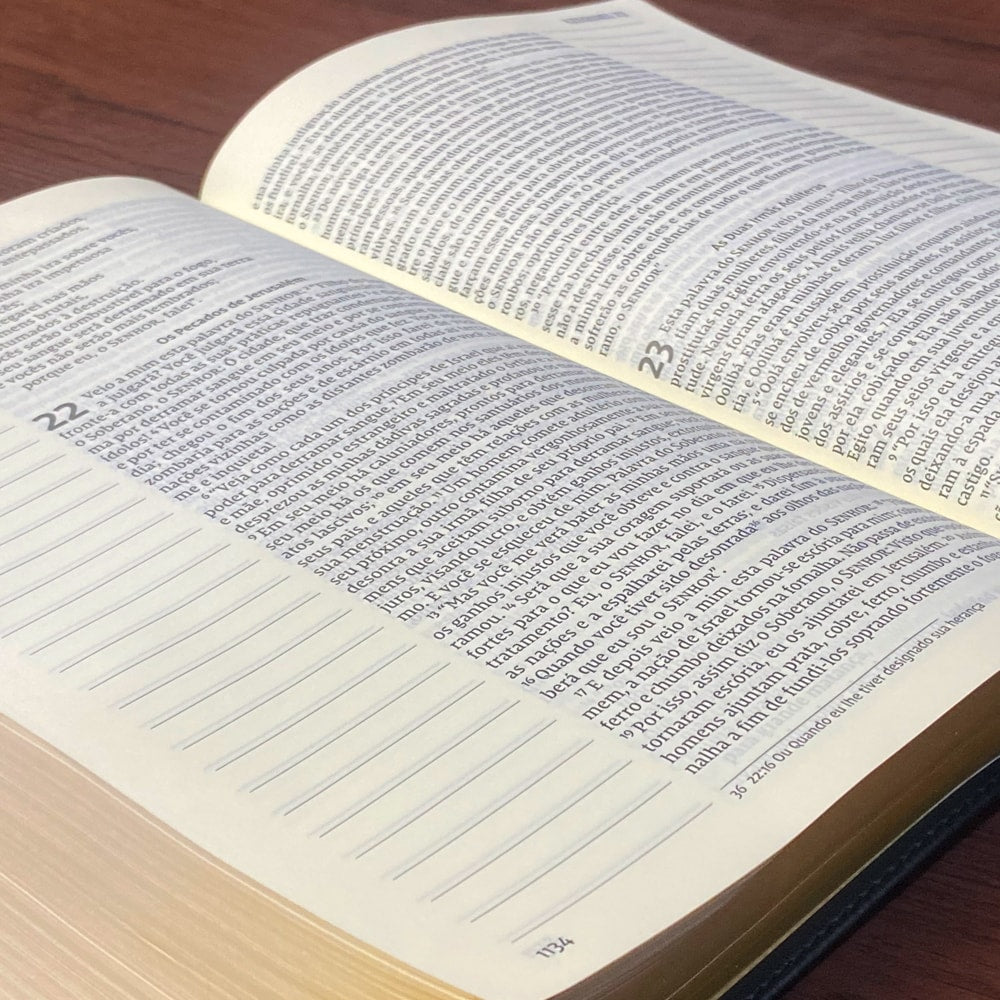 Bíblia Sagrada | NVI | Leitura Perfeita | Letra Grande | Espaço para Anotações | Capa Couro Soft Pre