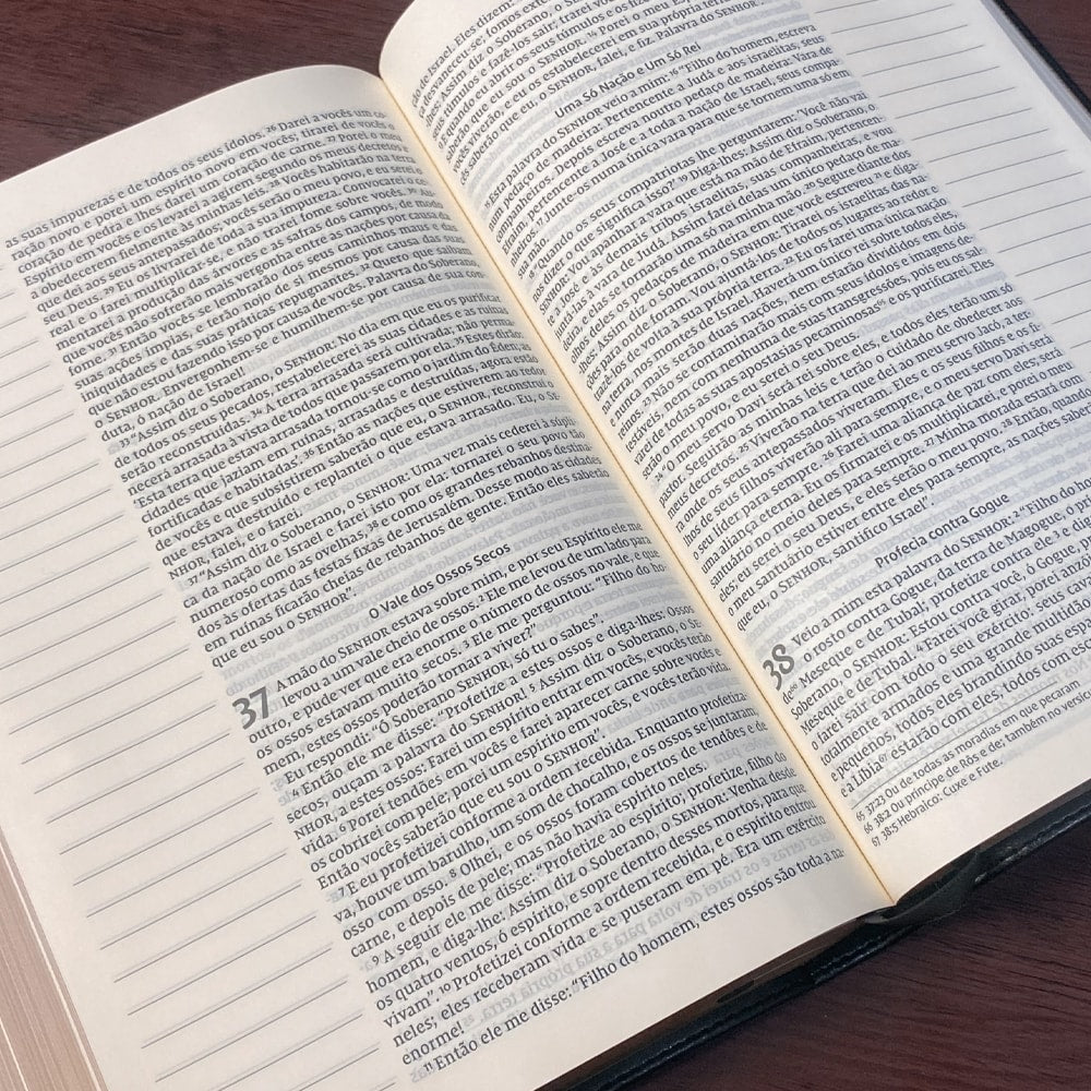Bíblia Sagrada | NVI | Leitura Perfeita | Letra Grande | Espaço para Anotações | Capa Couro Soft Pre