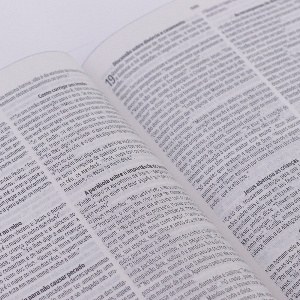 Bíblia Sagrada Leão Dourado Slim | NVT | Letra Maior | Capa Luxo Preta