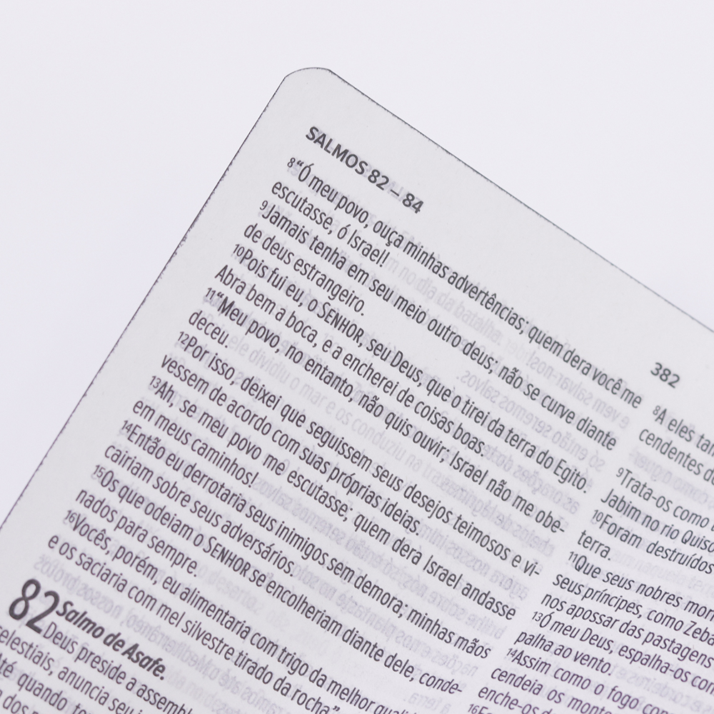 Bíblia Sagrada Nada Será Capaz Slim | NVT | Letra Maior | Capa Luxo Vinho