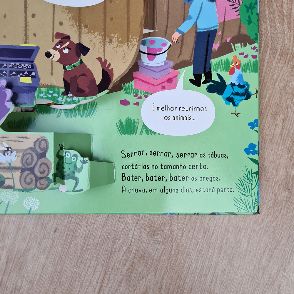 A Arca de Noé | Meu Livro Pop-Up |  Rachel Moss e Ela Smietanka