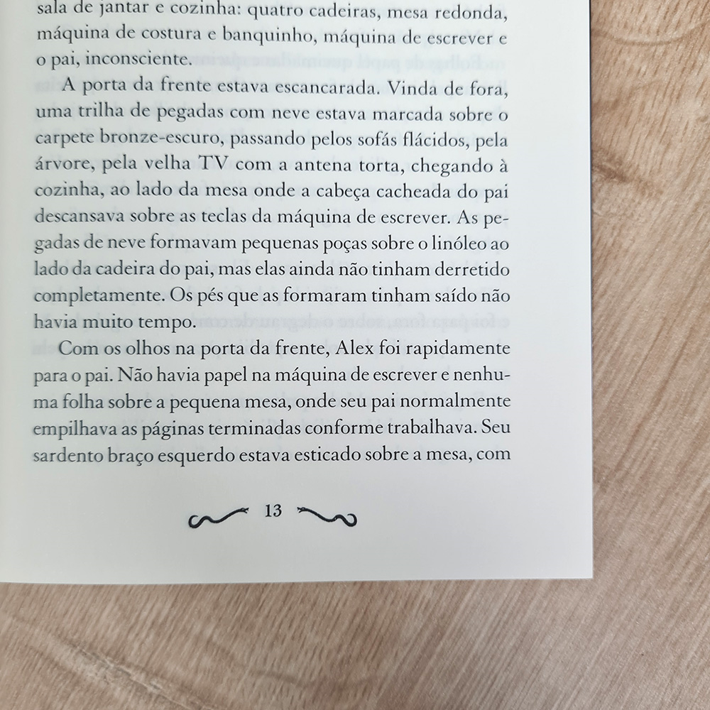 Foragidos do Tempo | O Ultimo dos Meninos Perdidos | N. D. Wilson