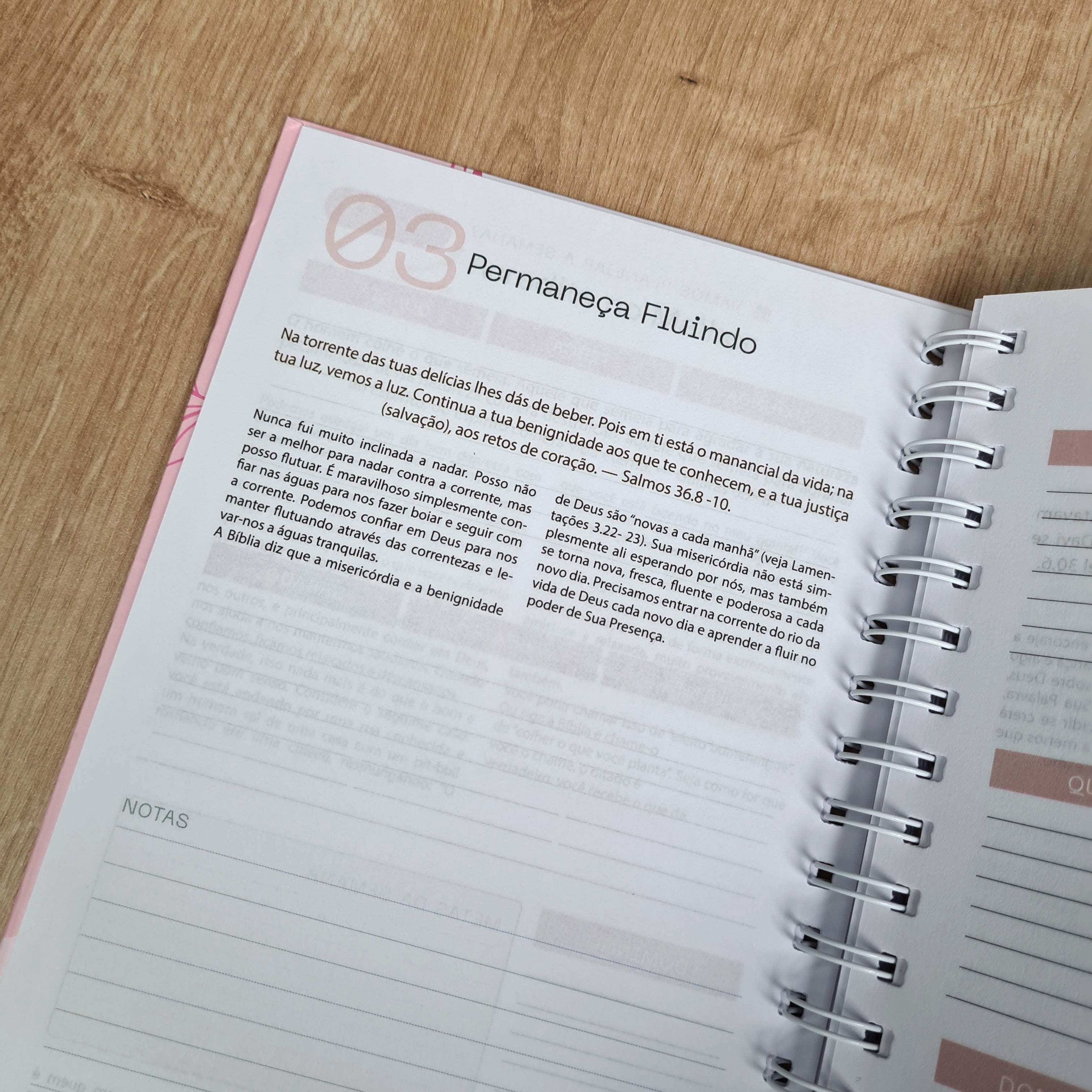 Planner da Vida Diária | Capa Dura Espiral Cor Pastel