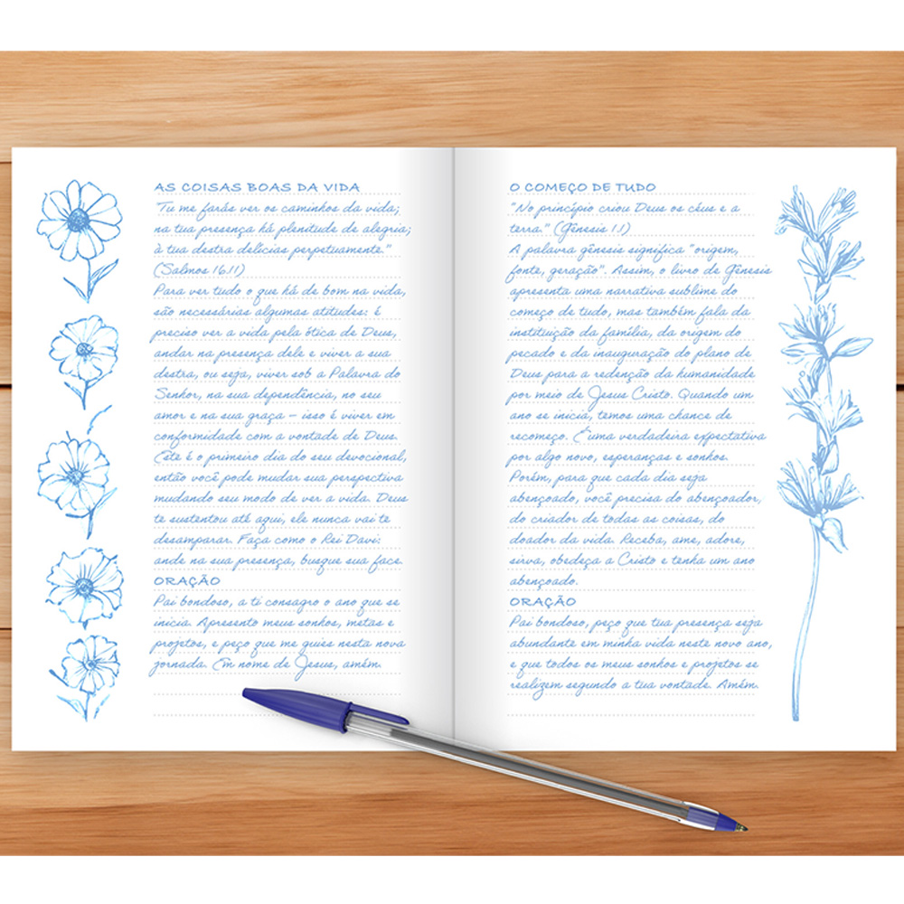 Sketch e Planner | Capa Brochura Cruz