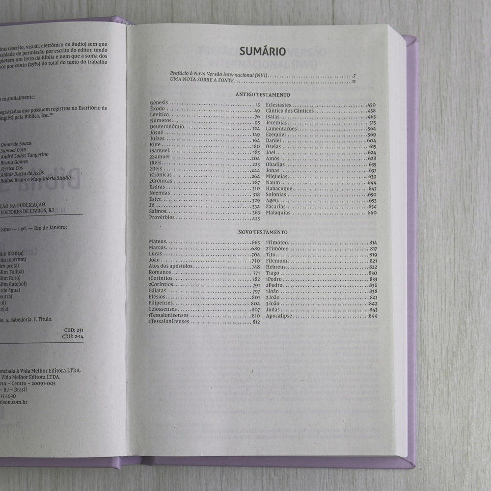 Bíblia Sagrada | NVI | Letra Normal | Ilustrada Capa Dura Tulipa