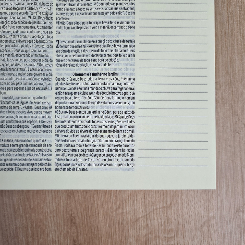 Bíblia Sagrada Leia e Anote | NVT | Letra Normal | Capa Dura Meu Socorro