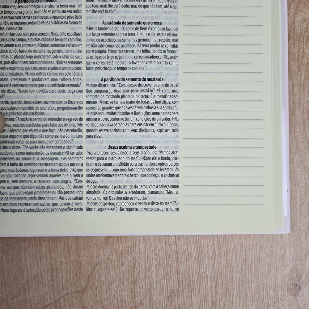 Bíblia Sagrada Leia e Anote | NVT | Letra Normal | Capa Dura Meu Socorro