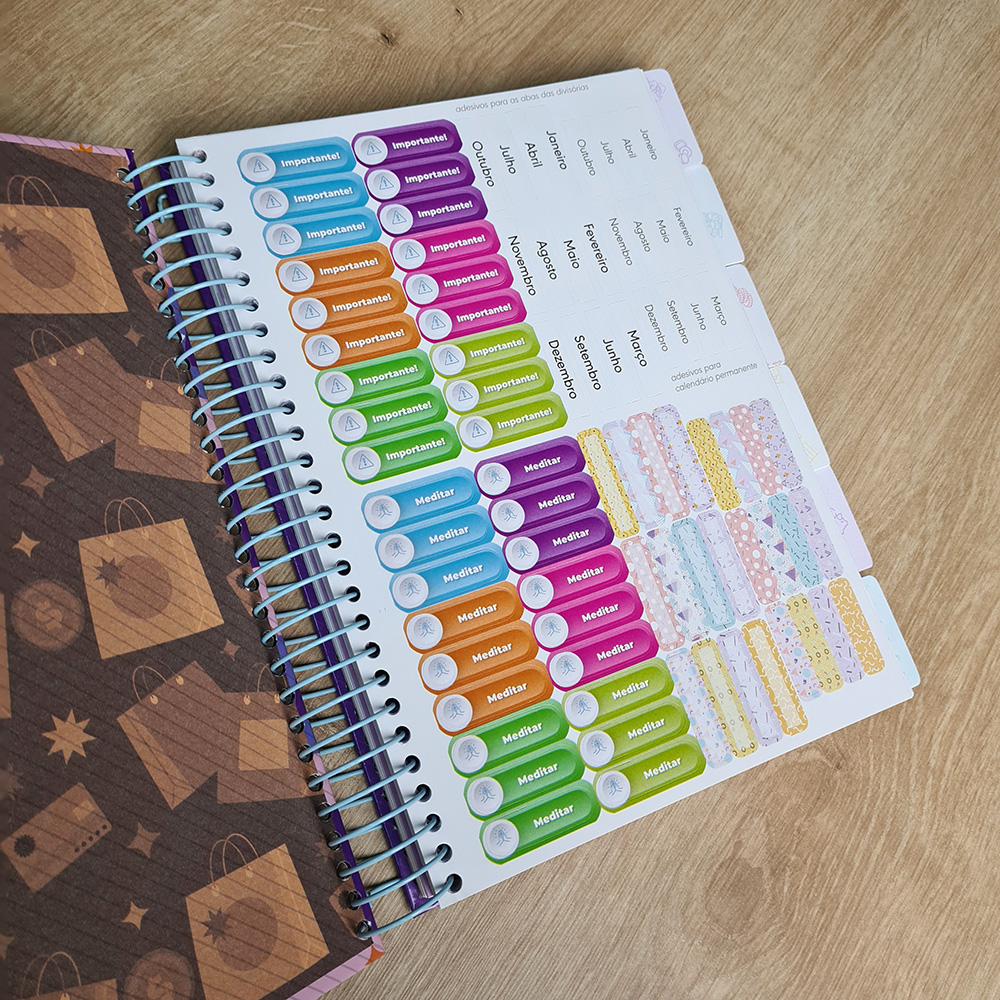 Life Planner: Vida e Finanças | Patrícia Lages | Capa Dura Espiral Estilo