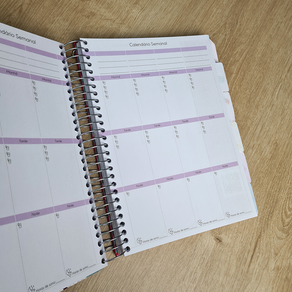 Life Planner: Vida e Finanças | Patrícia Lages | Capa Dura Espiral Organização