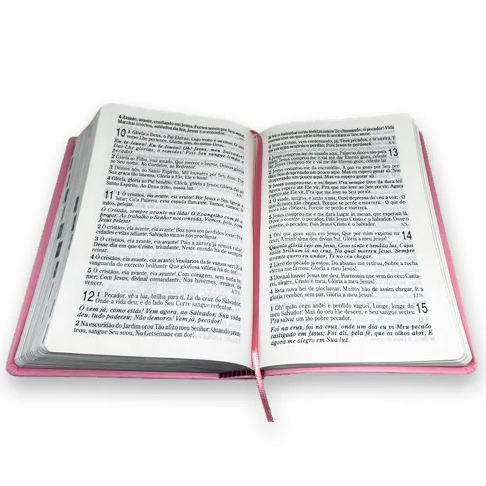 Bíblia Sagrada | NAA | Letra Grande | C/ Harpa Cristã | Capa Semi Luxo Rosa