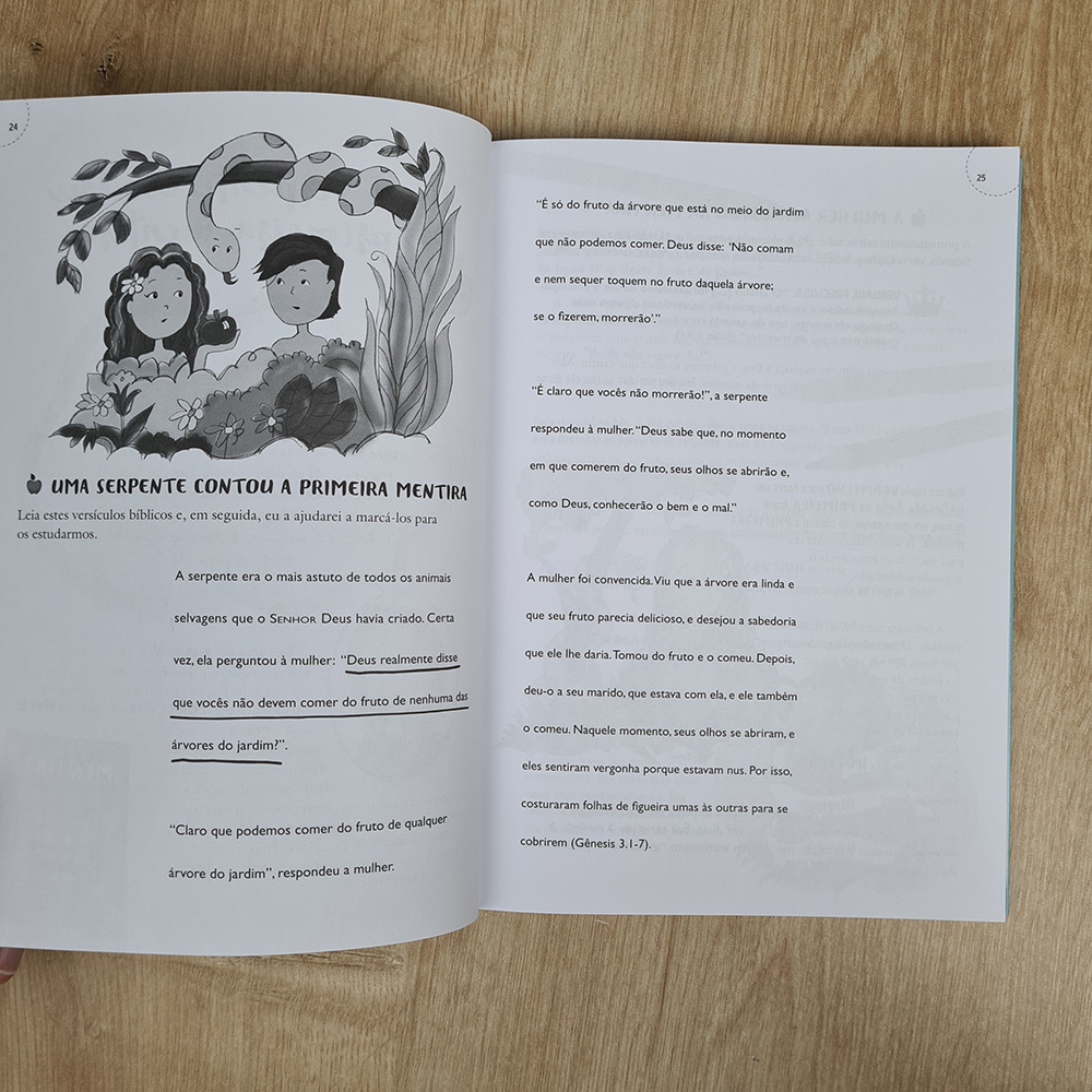 Mentiras que Meninas Acreditam | Dannah Gresh