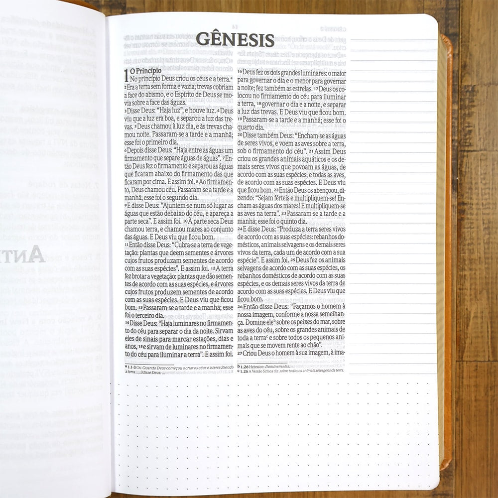 Bíblia Anote Castanho | NVI | Letra Grande | Com Espaço Para Anotações