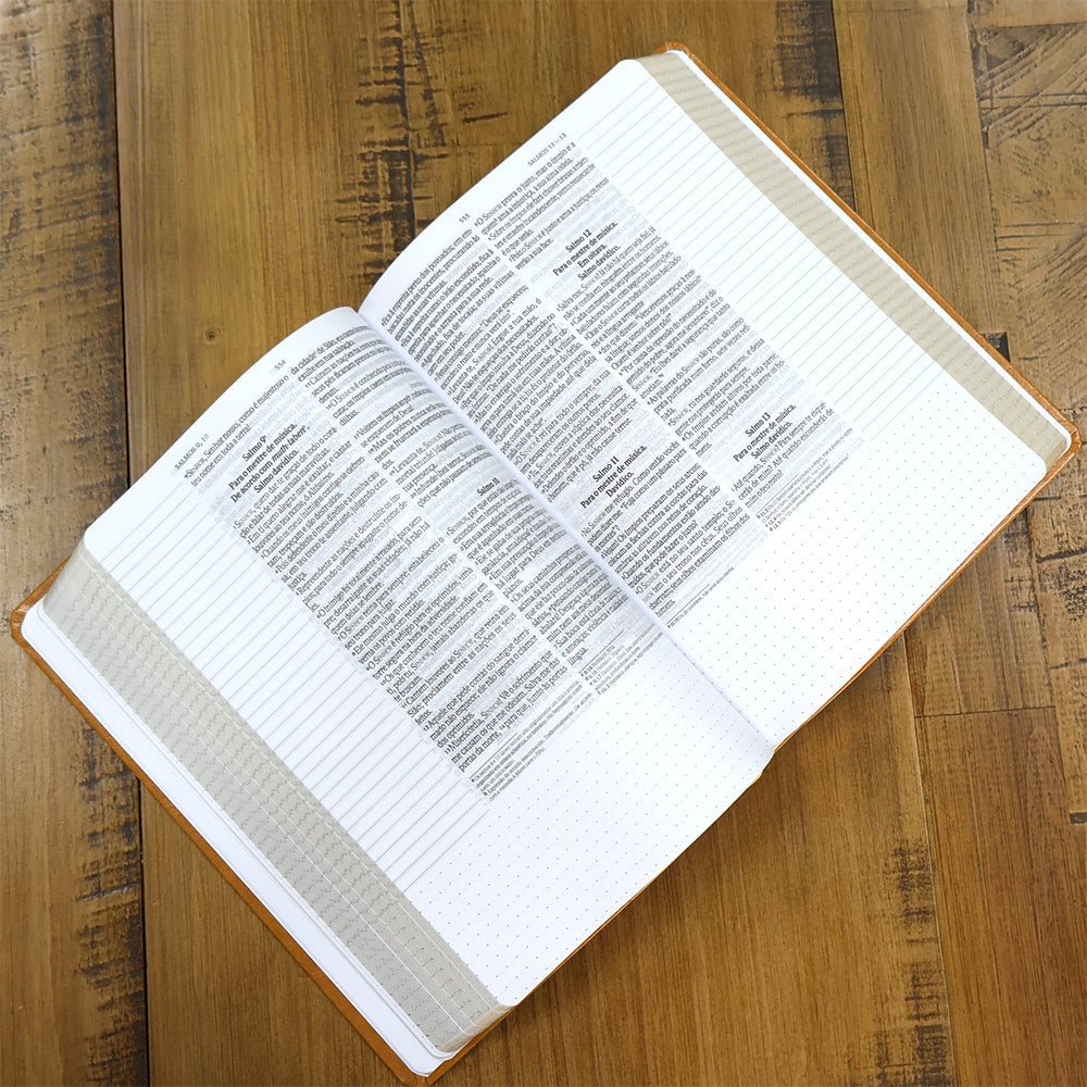 Bíblia Anote Castanho | NVI | Letra Grande | Com Espaço Para Anotações